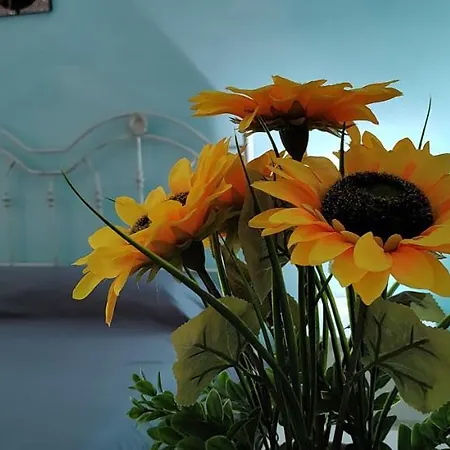 Il Girasole 民宿 鲁蒂利亚诺