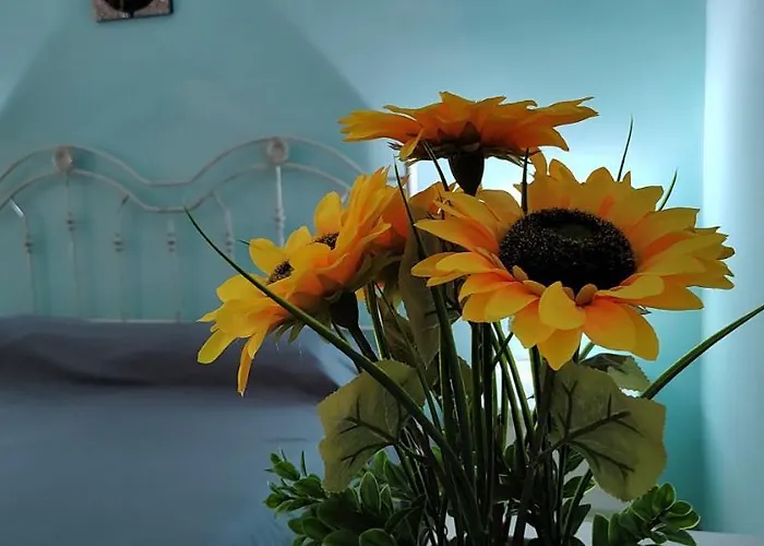 Il Girasole Alloggio in famiglia Rutigliano