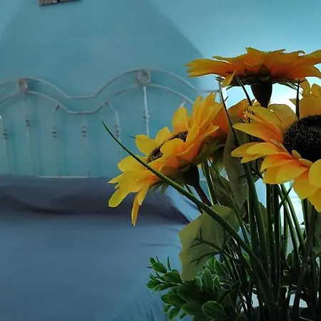 Il Girasole *